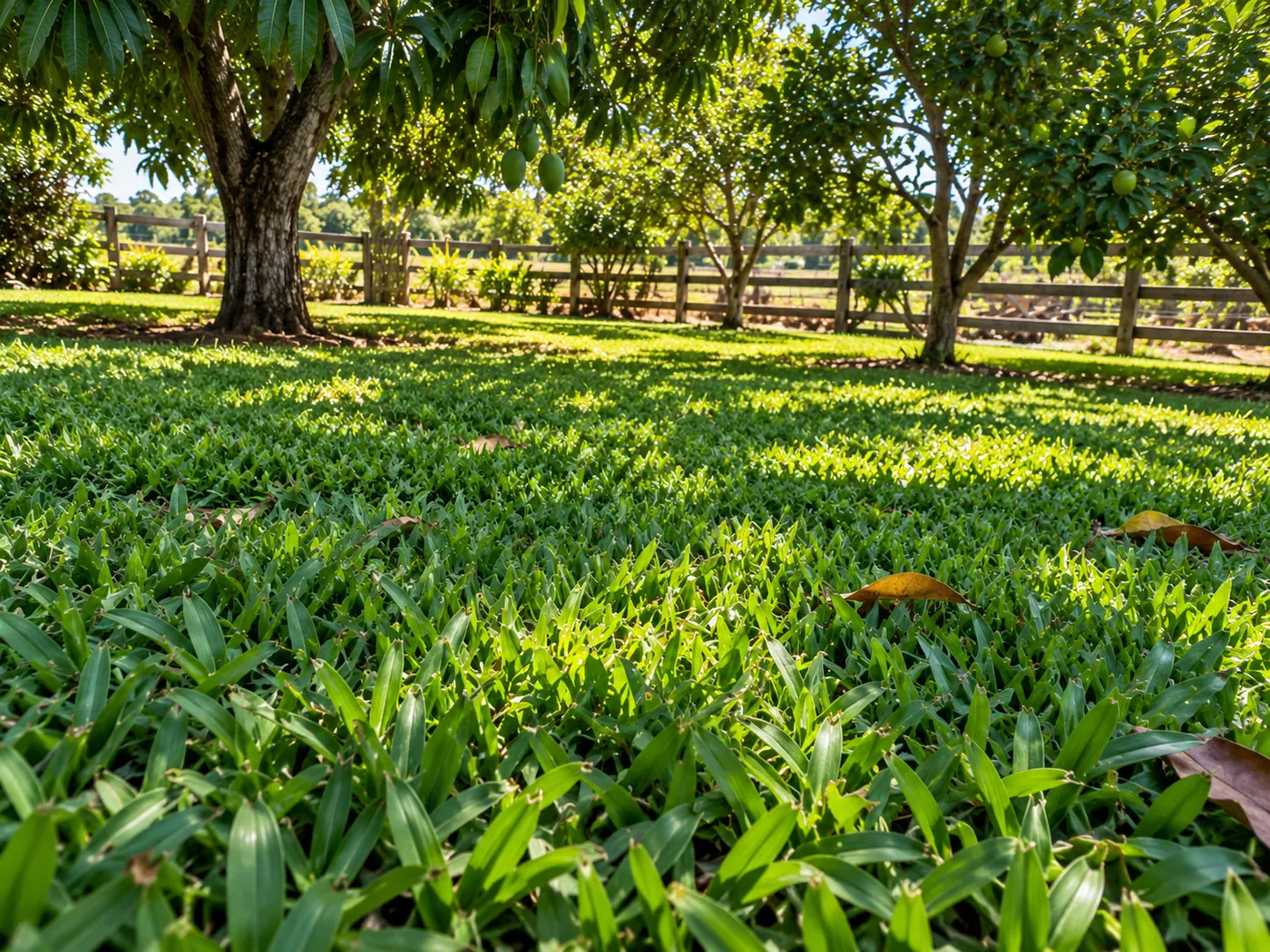 Jardim verde em chácara ou condomínio